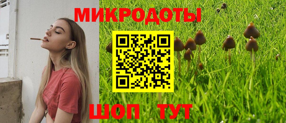 Галлюциногенные грибы ЛСД Будённовск